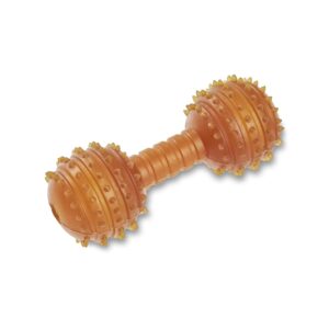 Wolters Hunde-Spielzeug Pure Nature Dental Hantel, M, 12.5 cm