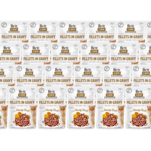 Brit Nassfutter Care Fillets Sauce Ente, 24 x 85 g