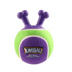 GiGwi Hunde-Spielzeug Jumpball, Tennis Ball, Grün/Violett