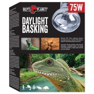 Repti Planet Daylight Basking Spot 75 W