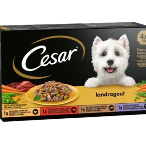 Cesar Nassfutter Landküche Vielfalt Sauce 4 x 150 g