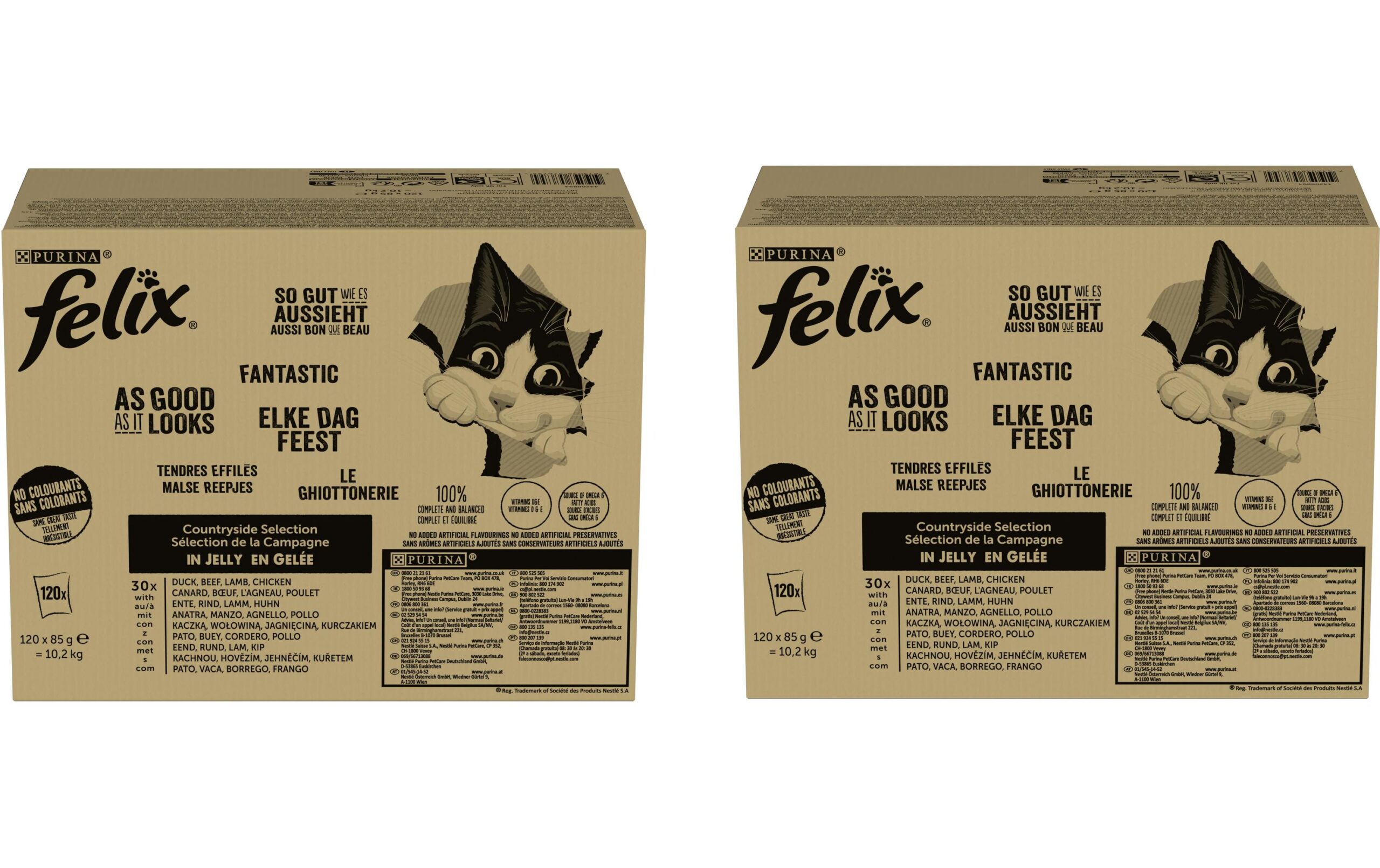 Felix Nassfutter AGAIL Fleisch, 2 x 120 x 85 g