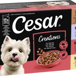 Cesar Portionsbeutel Multipack Selektion in Gelee 4 Varietäten