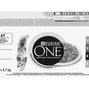 Purina ONE PURINA ONE STERILCAT Truthahn, Lachs, Rind & Huhn, 60 x 85g