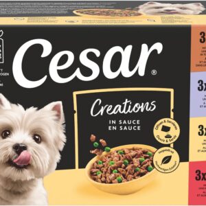 Cesar Nassfutter Selektion in Sauce 4 Varietäten 12 x 100 g