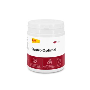 kyli Hunde-Nahrungsergänzung Gastro Optimal, 350 g