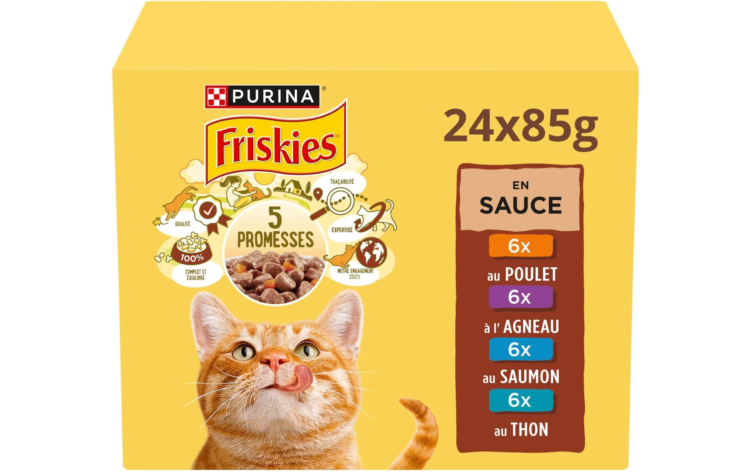 Purina Friskies Nassfutter Adult Fleisch Fisch in Sauce 24 x 85 g