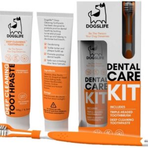 DogsLife Zahnreinigung Dental Kit 1 Stück