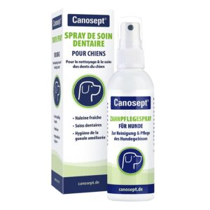 Canosept Zahnreinigung Zahnpflegespray 100 ml