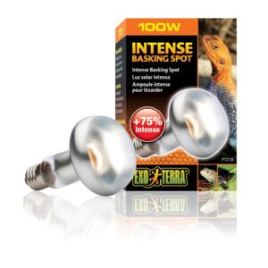 Exo Terra Terrarienlampe Intense Basking Spot E27, R25/100W