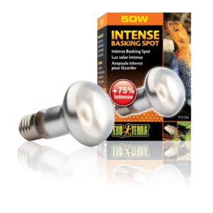 Exo Terra Terrarienlampe Intense Basking Spot E27, R20/50W