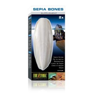 Exo Terra Ergänzungsfutter Sepiaschale, 2 Stk.