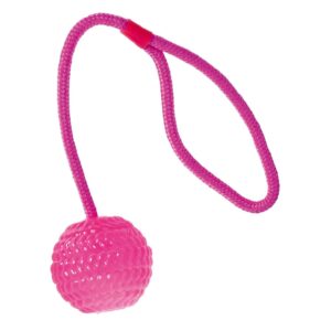 SwissPet Hunde-Spielzeug Ball mit Wurfseil, Ø 7 cm, Pink