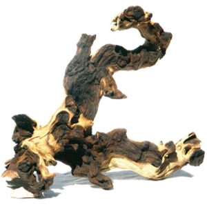 AMAZONAS Dekoration Mopani Holz L, 35-50 cm
