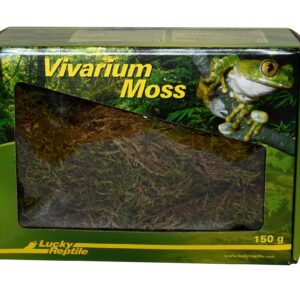 Lucky Reptile Bodensubstrat Vivarium Moss 150 g