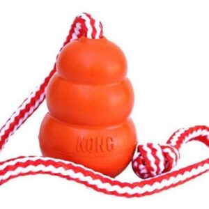 Kong Hunde-Spielzeug Kong Aqua Ø 10.5 cm
