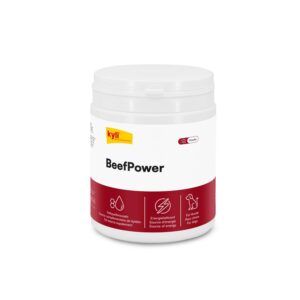 kyli Hunde-Nahrungsergänzung BeefPower, 250 g