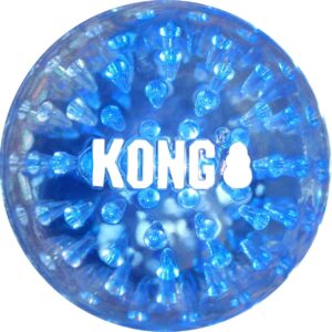 Kong Squeezz Geodz assortiert
