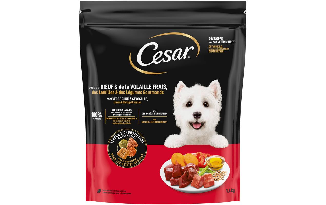 Cesar Trockenfutter Hunters Platter Rind, 1.4 kg