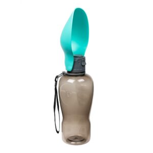 FTM Trinkflasche Türkis, 800 ml