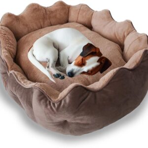 Paws & Whiskers Hunde-Bett Elsa Dog L Braun
